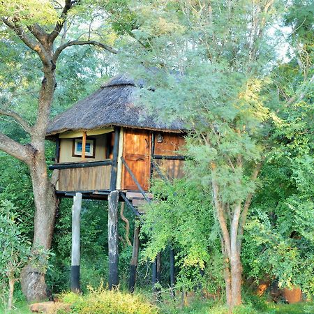 Ivory Lodge Dete Exteriör bild