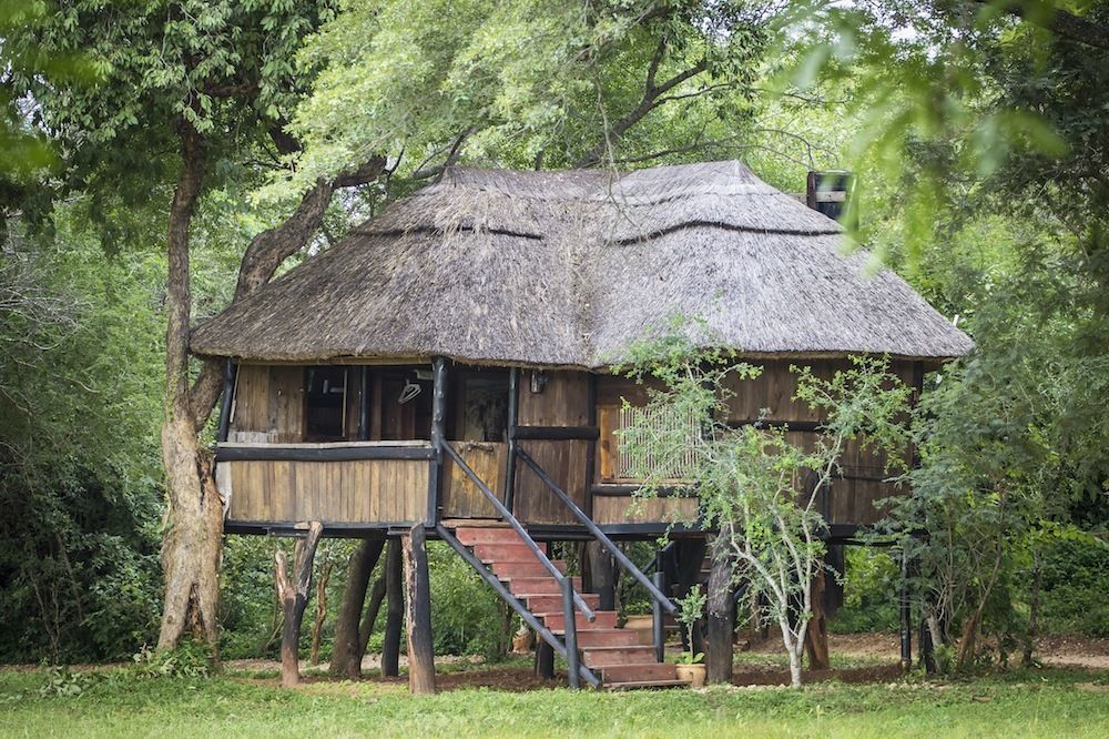 Ivory Lodge Dete Exteriör bild