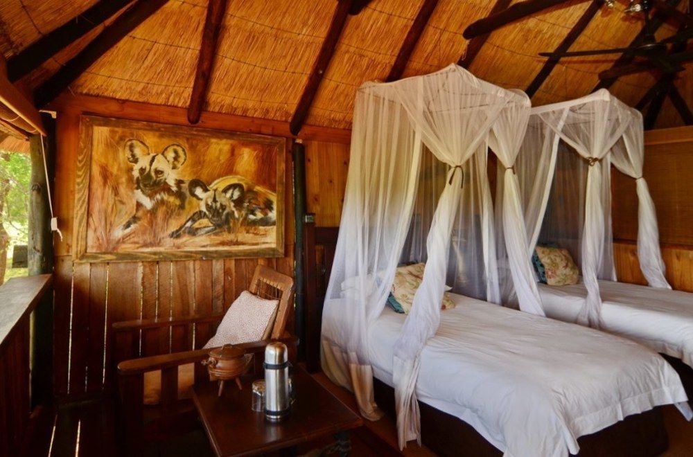Ivory Lodge Dete Exteriör bild