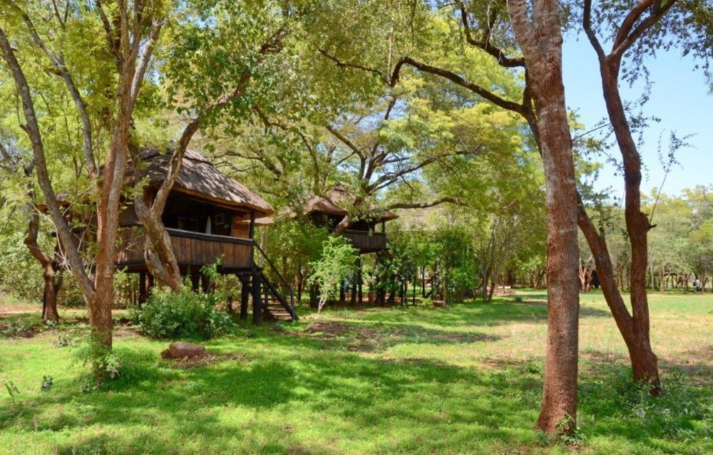 Ivory Lodge Dete Exteriör bild