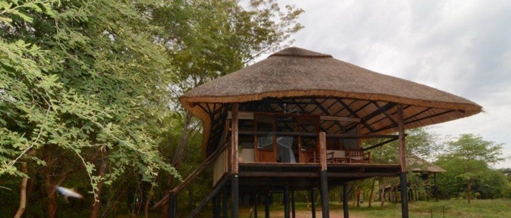 Ivory Lodge Dete Exteriör bild