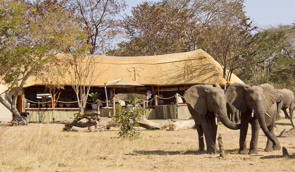 Ivory Lodge Dete Exteriör bild