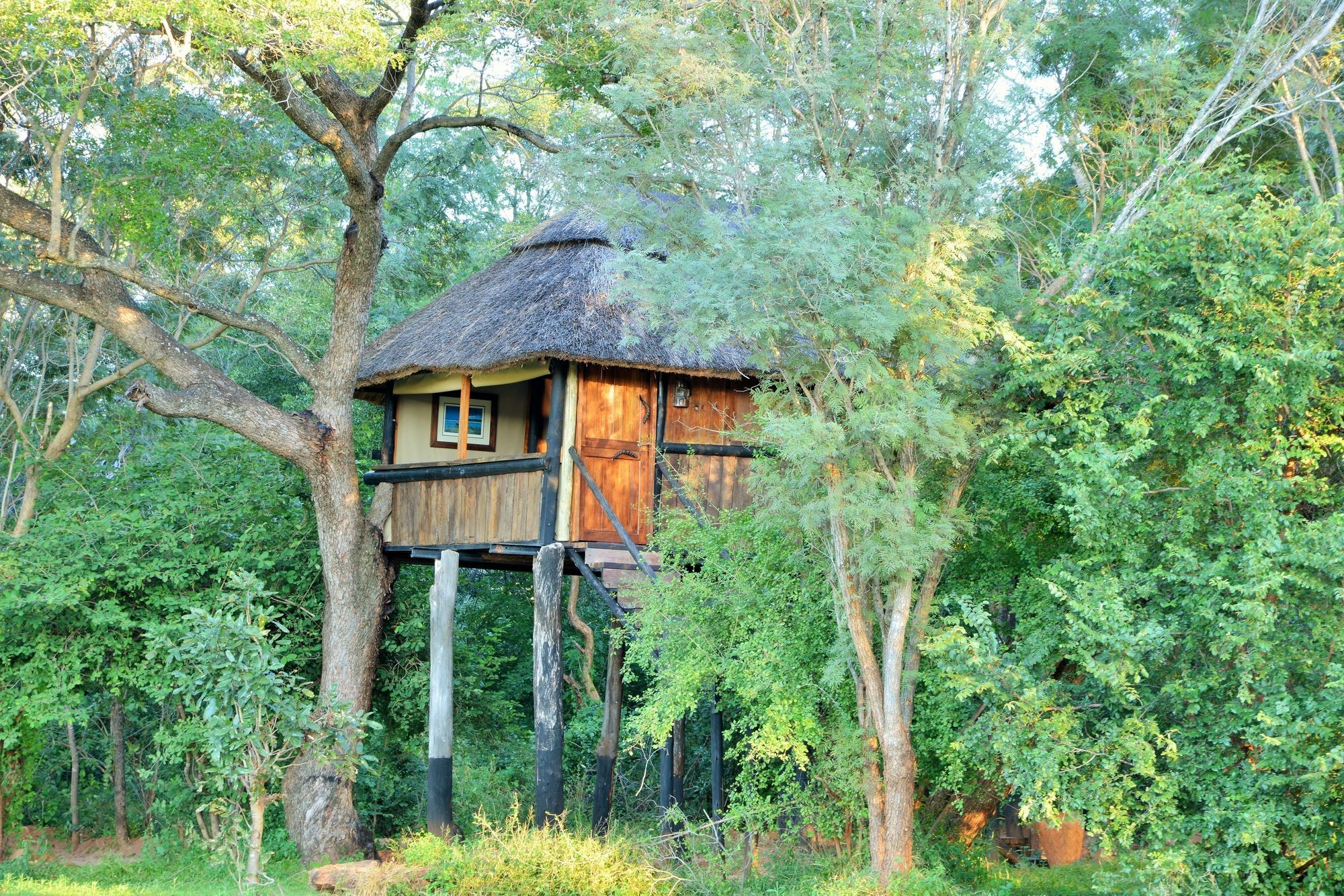 Ivory Lodge Dete Exteriör bild